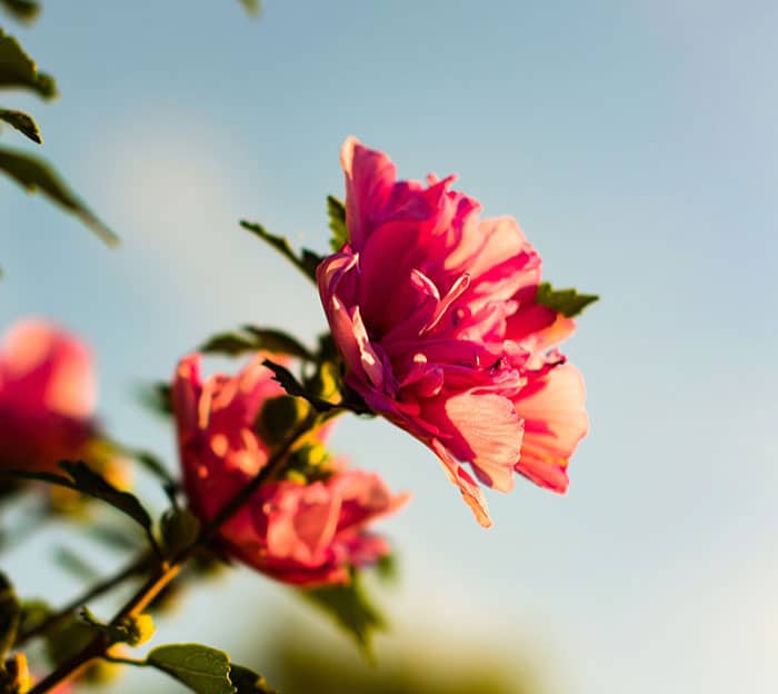 How To Get Your Home Ready For The Changing Season